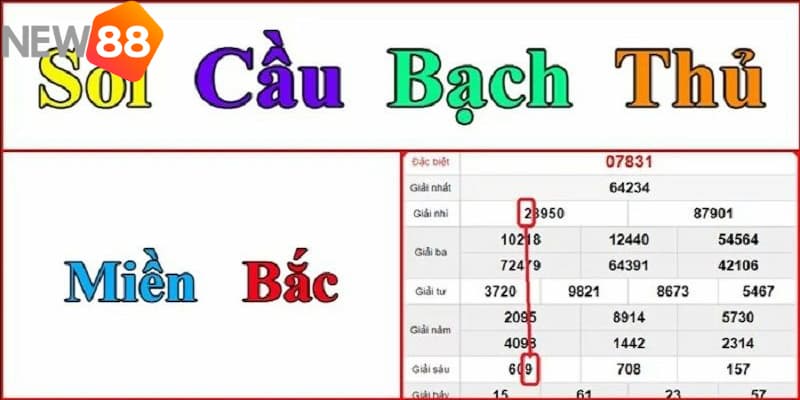 Bạch thủ lô vip miền Bắc miễn phí hôm nay Giới thiệu về soi cầu Bạch thủ lô vip miền Bắc miễn phí hôm nay