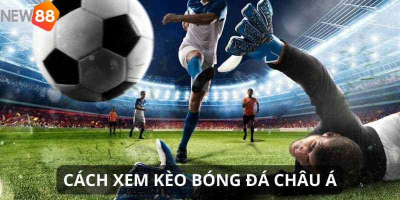 kèo châu Á Chơi kèo châu Á hiệu quả: Bí quyết từ kinh nghiệm