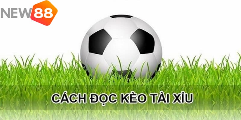 kèo tài xỉu 3-3.5 Hướng dẫn cách bắt kèo tài xỉu 3-3.5 từng trường hợp