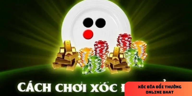 3 hình thức đặt cược phổ biến trong xóc đĩa
