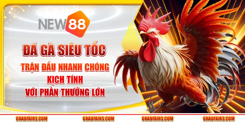 Đá Gà Siêu Tốc – Trận Đấu Nhanh Chóng Với Phần Thưởng Lớn
