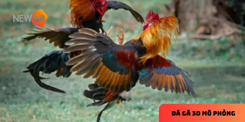 Đấu đơn là nền tảng giúp bạn nâng cao kỹ năng.