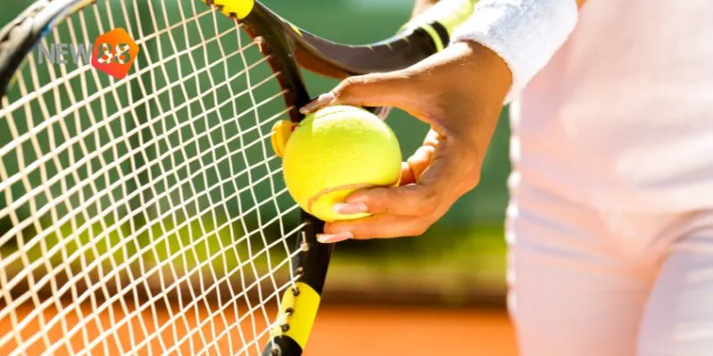 Khám phá những điểm nhấn đặc biệt từ các giải đấu ATP nổi bật.