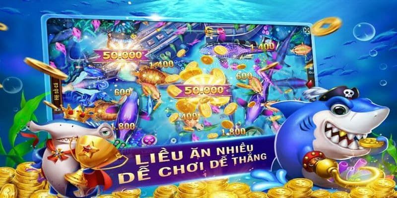 Chú ý rủi ro khi sử dụng