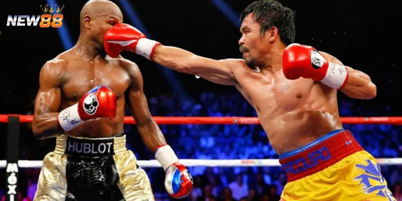 Một số thông tin về cá cược boxing 
