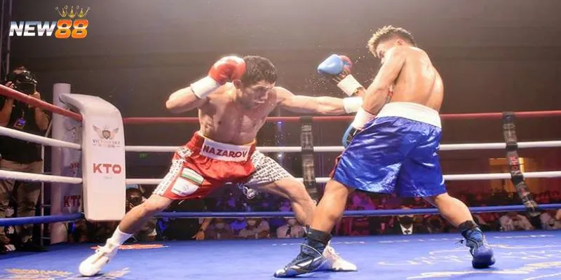 Khám phá cách soi kèo boxing hiệu quả
