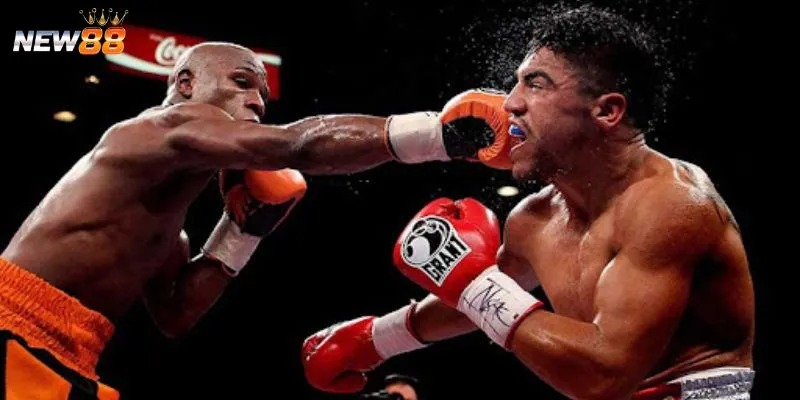 Mẹo cá cược boxing thắng lớn từ cao thủ 
